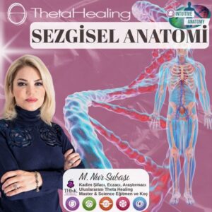 Theta Healing Sezgisel Anatomi