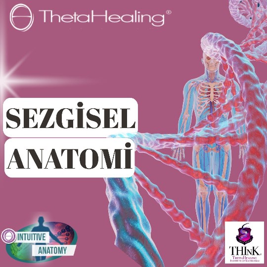 ThetaHealing Sezgisel Anatomi